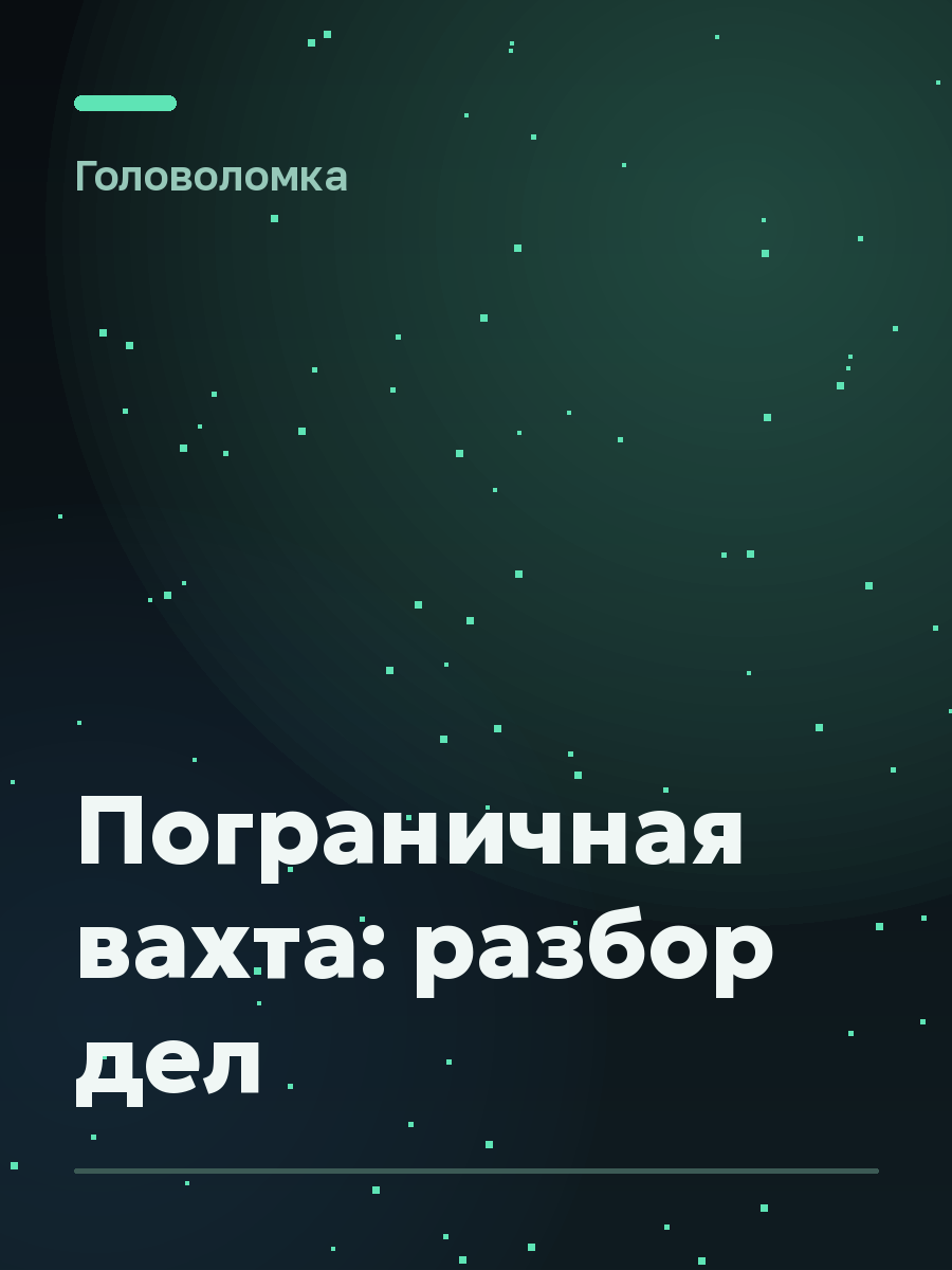 Обложка игры Пограничная вахта: разбор дел