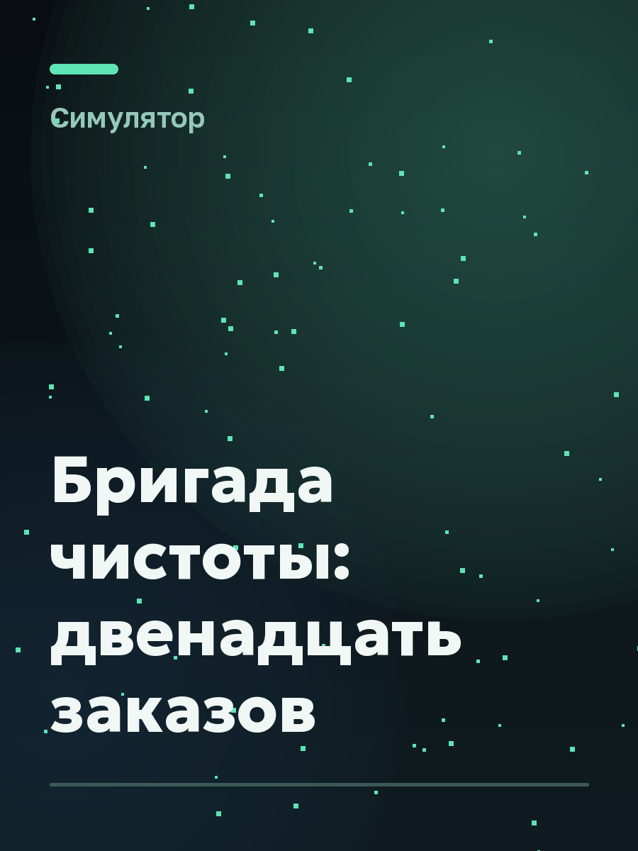 Обложка игры Бригада чистоты: двенадцать заказов