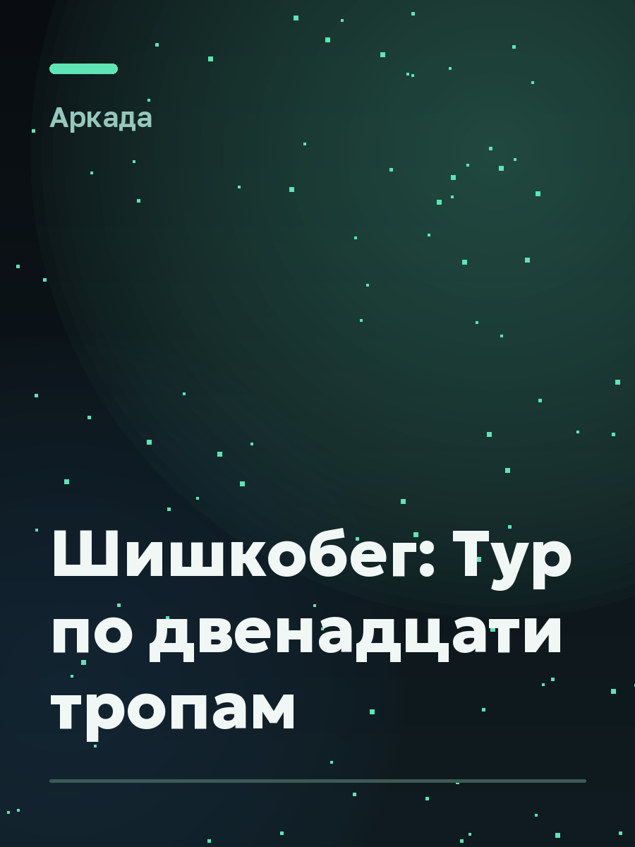 Обложка игры Шишкобег: Тур по двенадцати тропам