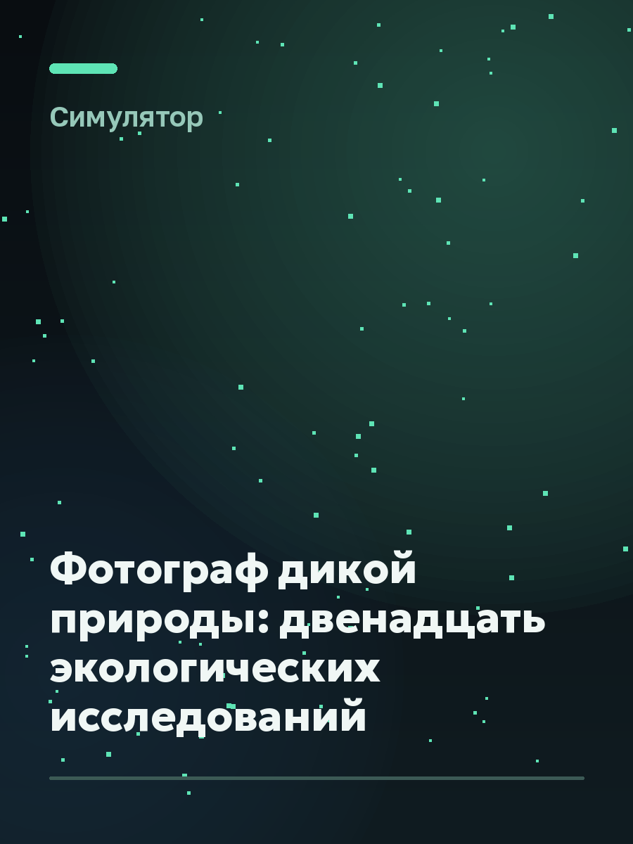 Обложка игры Фотограф дикой природы: двенадцать экологических исследований