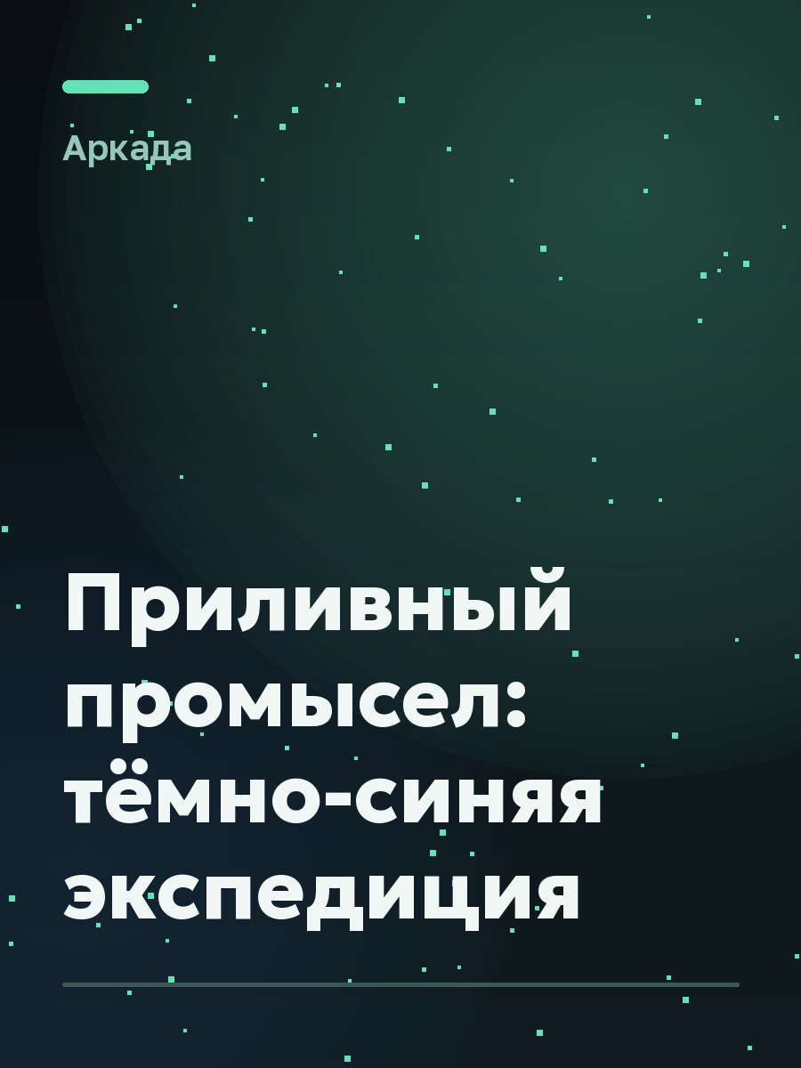 Обложка игры Приливный промысел: тёмно-синяя экспедиция